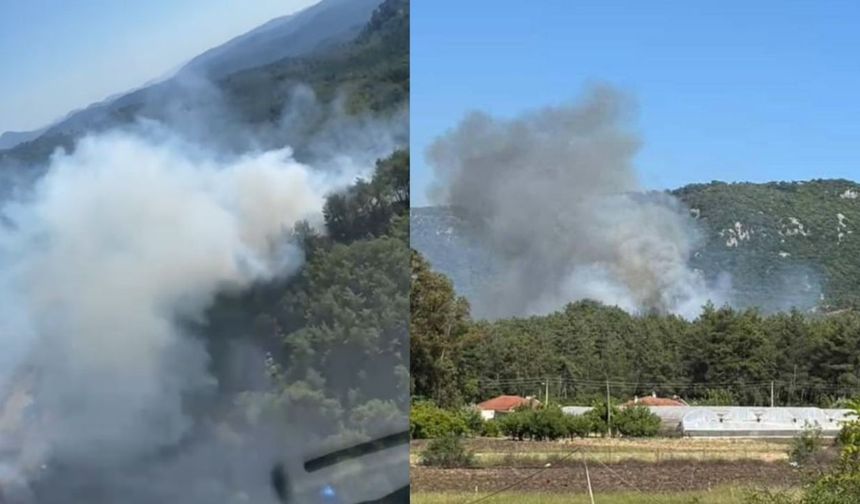 Marmaris’teki orman yangını: Müdahale başladı!