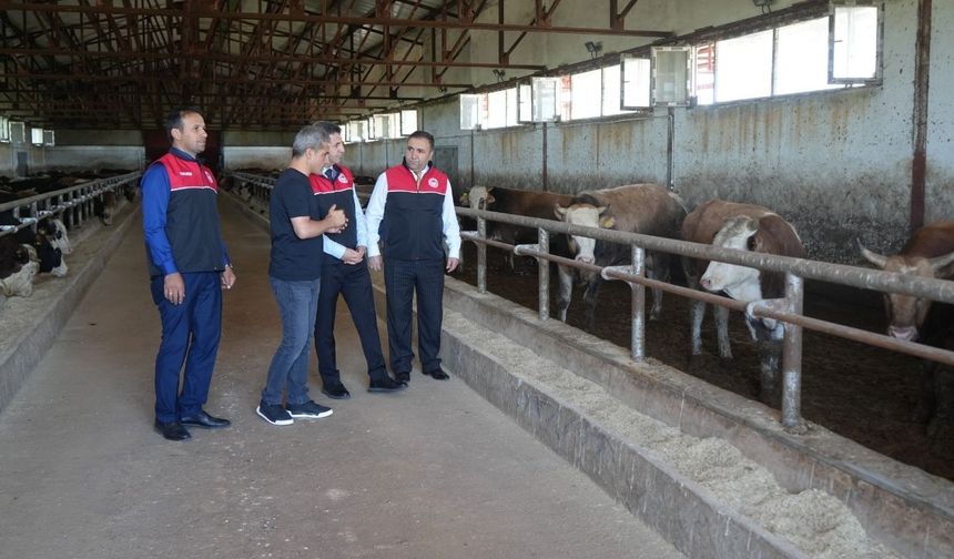 Kurbanlık için Muş’tan 30 bin hayvan sevk edildi
