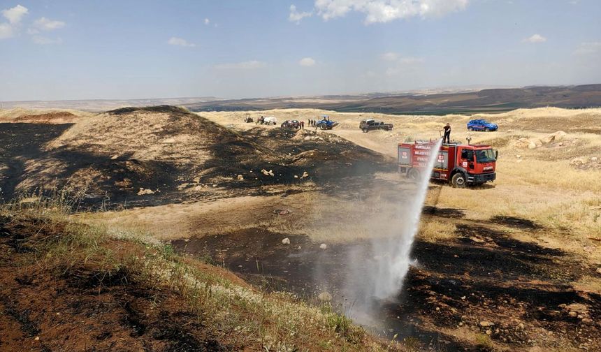 Siirt'te yangın felaketi, buğday tarlaları kül oldu