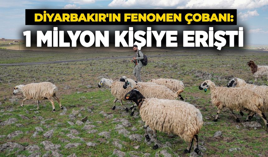 Diyarbakır'ın fenomen çobanı: 1 milyon kişiye erişti