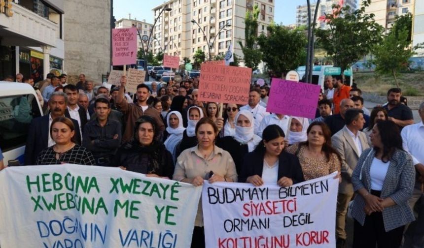 Şırnak’ta doğa talanına karşı yürüyüş!