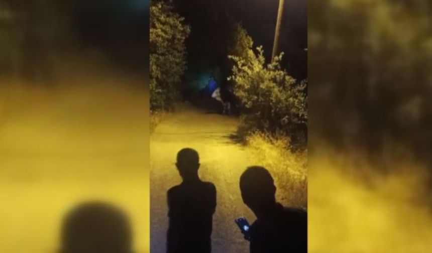 Zincirlerini koparan boğa ortalığı birbirine kattı!