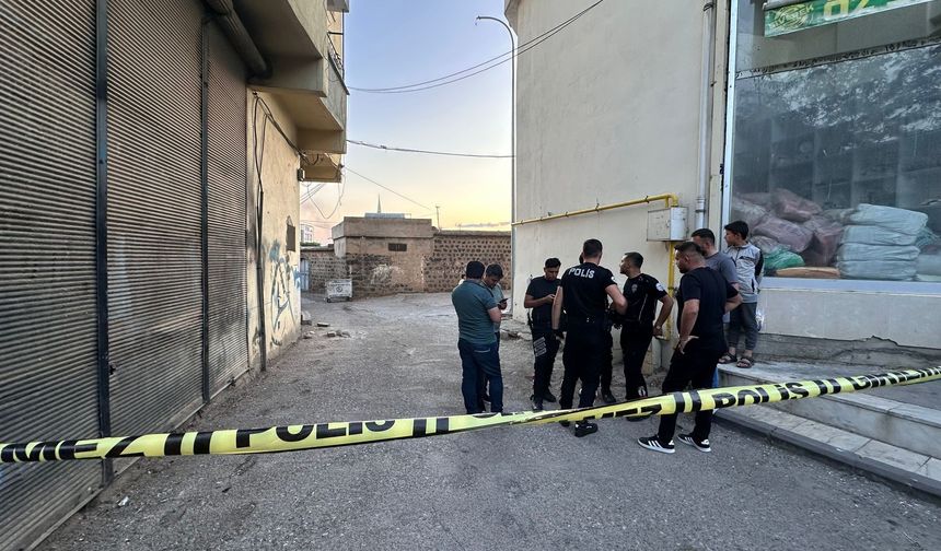 Şanlıurfa’daki cinayete 3 tutuklama