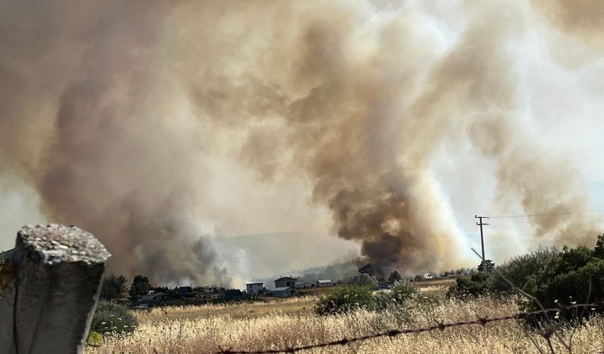 İzmir Bornova’daki orman yangını soruşturmasında 2 kişi tutuklandı