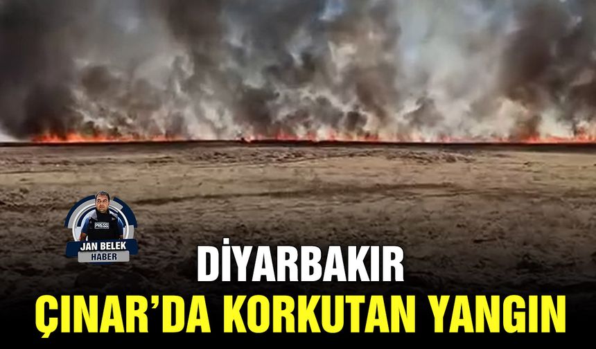 Diyarbakır Çınar’da korkutan yangın