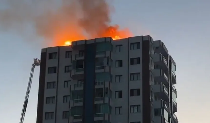 Diyarbakır’da, Rojava Sitesi Dayanışma Komisyonu kuruldu