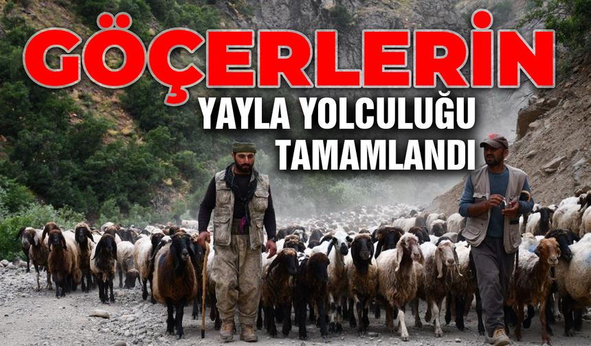 Göçerlerin yayla yolculuğu tamamlandı