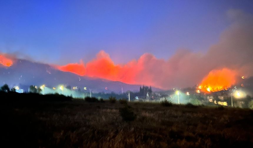 Hatay’da orman yangını 12’inci saate girdi: 1800 kişi tahliye edildi