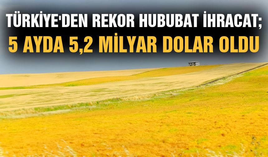 Türkiye'den rekor hububat ihracat; 5 ayda 5,2 milyar dolar oldu