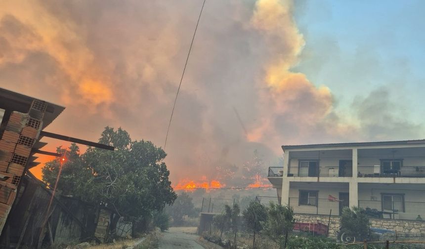 İzmir'de çöplük alanda başlayan yangın ormanlık alana sıçradı