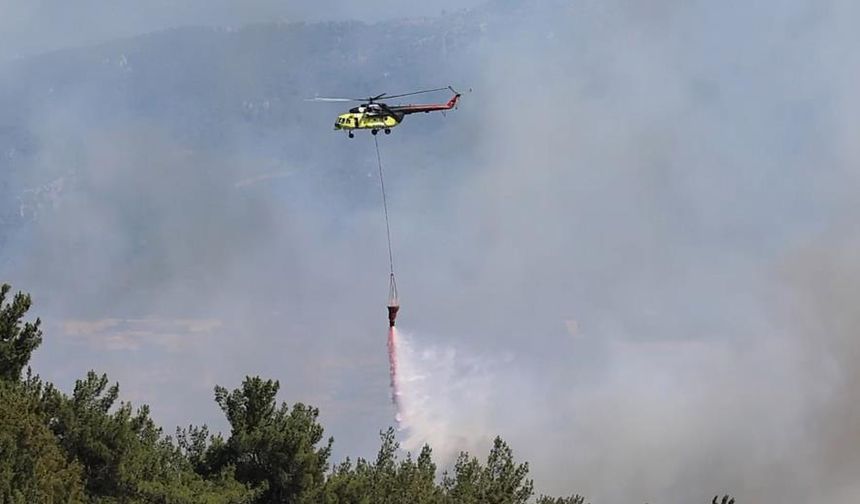 İzmir Bornova yanıyor; ekipler seferber oldu