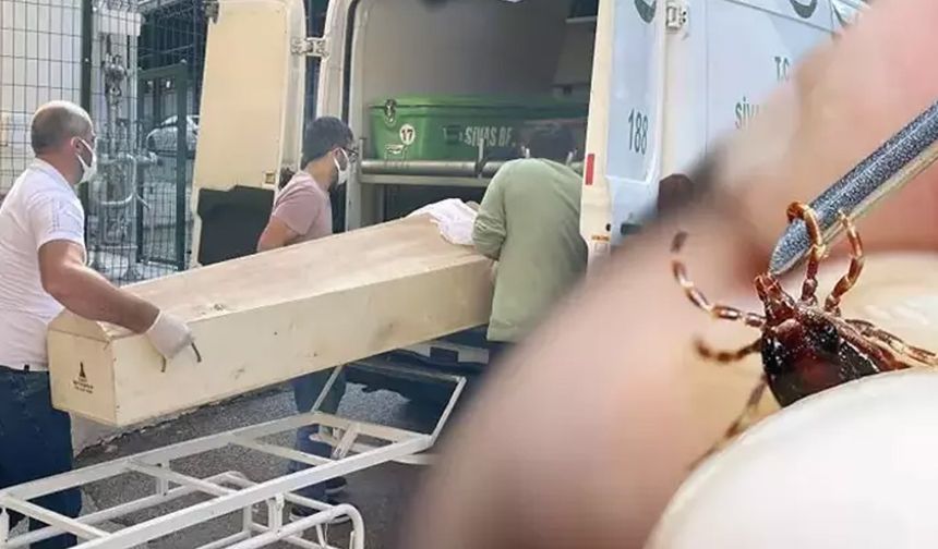 Keneden ölü sayısı 6'ya yükseldi!