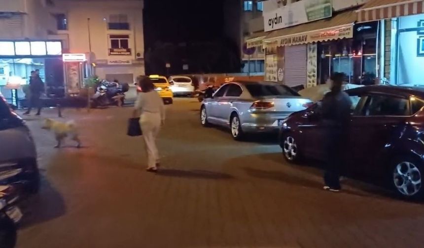 SON DAKİKA: Muğla Valisinden deprem açıklaması!