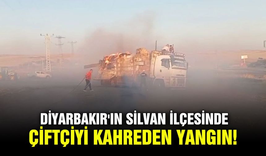 Diyarbakır'ın Silvan ilçesinde çiftçiyi kahreden yangın!