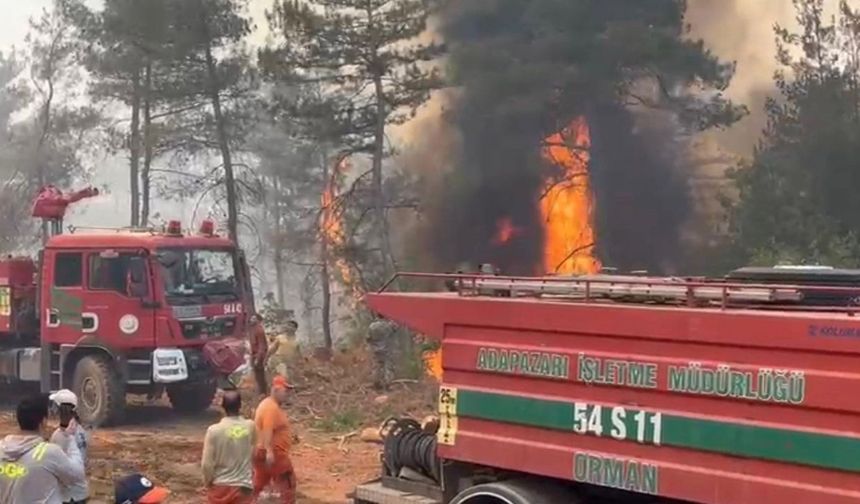 Sakarya’daki yangınla ilgili 3 kişi gözaltına alındı