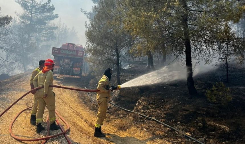 Sakarya'daki orman yangını Osmaneli'ne de sıçradı