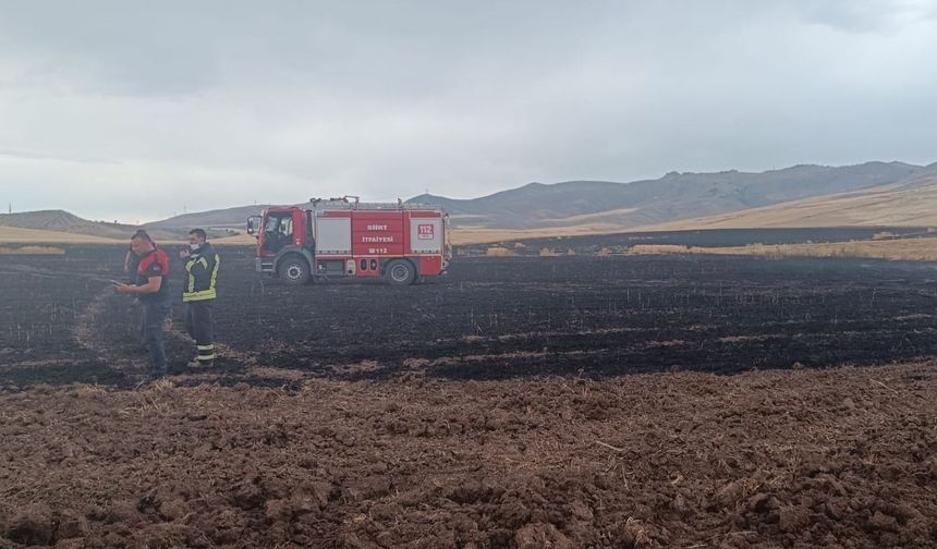 Siirt'te yıldırım düşmesi nedeniyle ekili arazide yangın çıktı