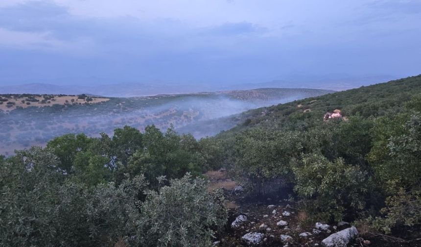 Diyarbakır Silvan’da yangın!