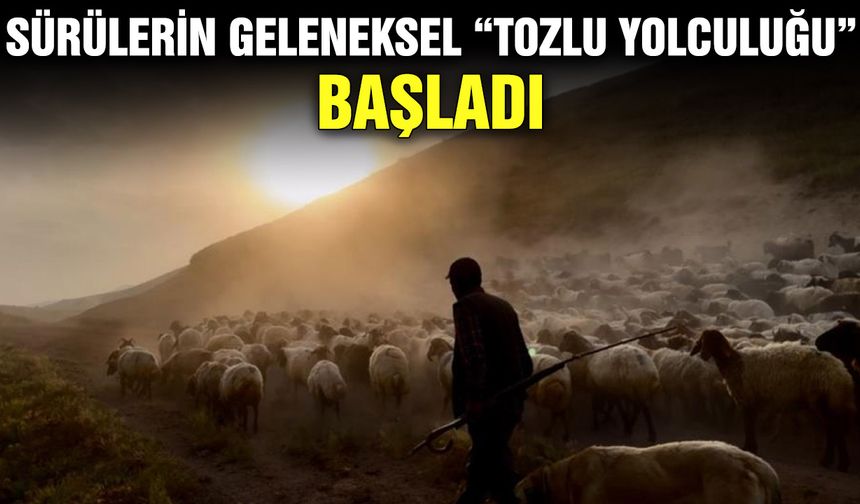 Sürülerin geleneksel “tozlu yolculuğu” başladı