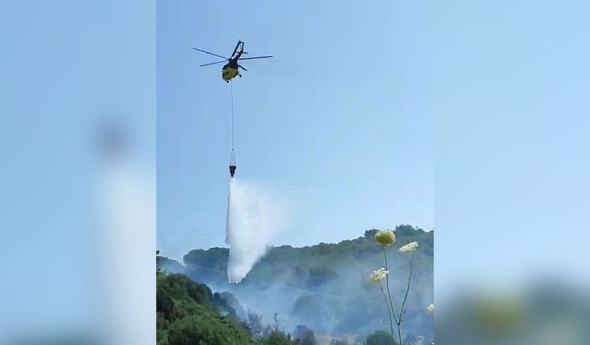 Kuşadası'nda orman yangını