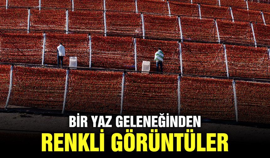 Bir yaz geleneğinden renkli görüntüler