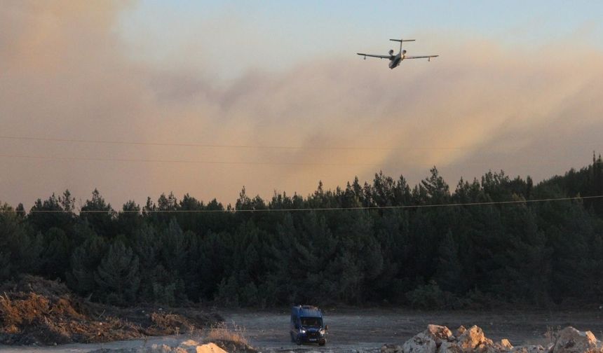 Buca'daki orman yangınıyla ilgili 2 gözaltı