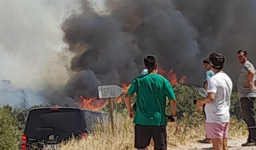 İzmir Çeşme'de yangın büyüdü, bazı evler tedbiren boşaltıldı