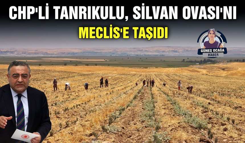 CHP'li Tanrıkulu, Silvan Ovası'nı Meclis'e taşıdı