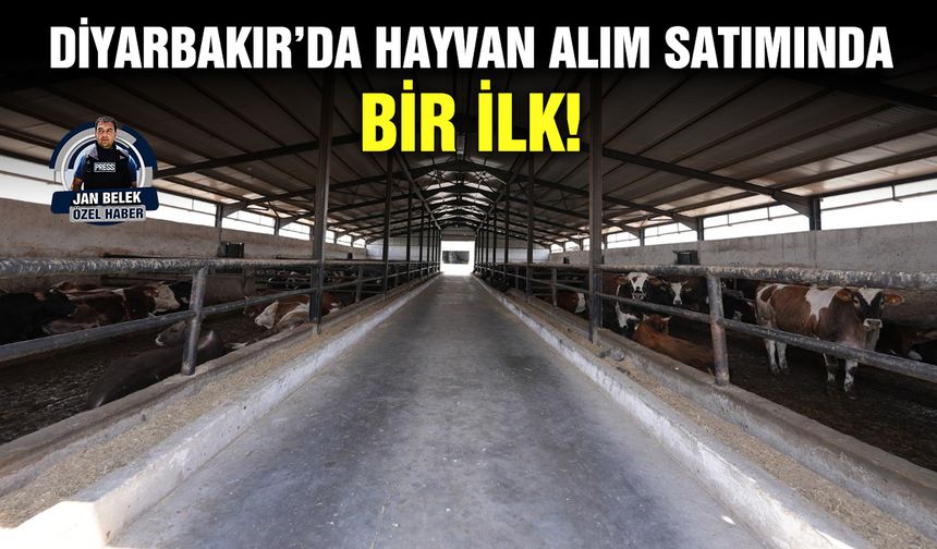 Diyarbakır’da hayvan alım satımında bir ilk!