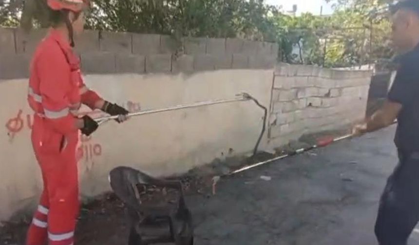 Evin bahçesine giren yılanı itfaiye yakaladı