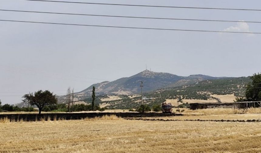 Diyarbakır’ın Lice ilçesi Fis Ovası'nda yangın!