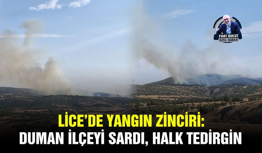 Lice’de yangın zinciri: Duman ilçeyi sardı, halk tedirgin