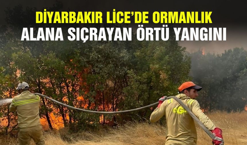 Diyarbakır Lice’de ormanlık alana sıçrayan örtü yangını