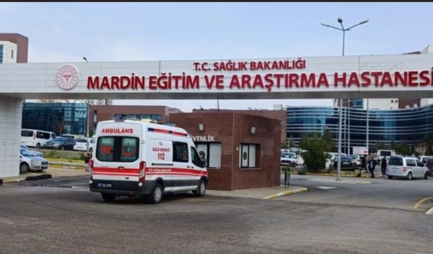 Mardin’de peş peşe kadın ölümleri: Evlerinde ölü bulundular