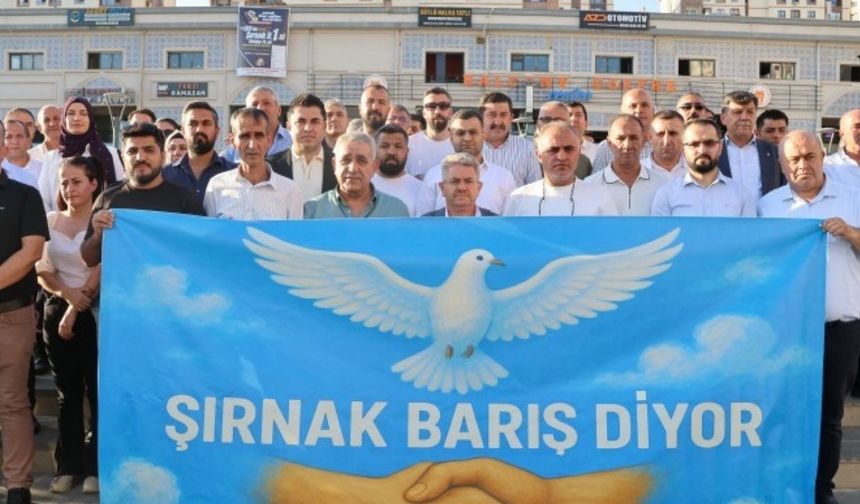 Şırnak’ta 55 sivil toplum örgütü: Bu tren kaçmamalı