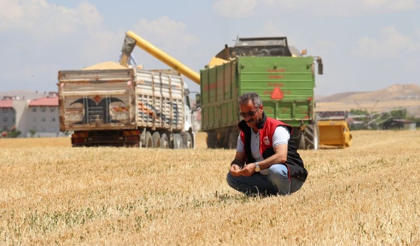 Kuraklık Vanlı çiftçileri vurdu, verimlilikte yüzde 65 düşüş var!