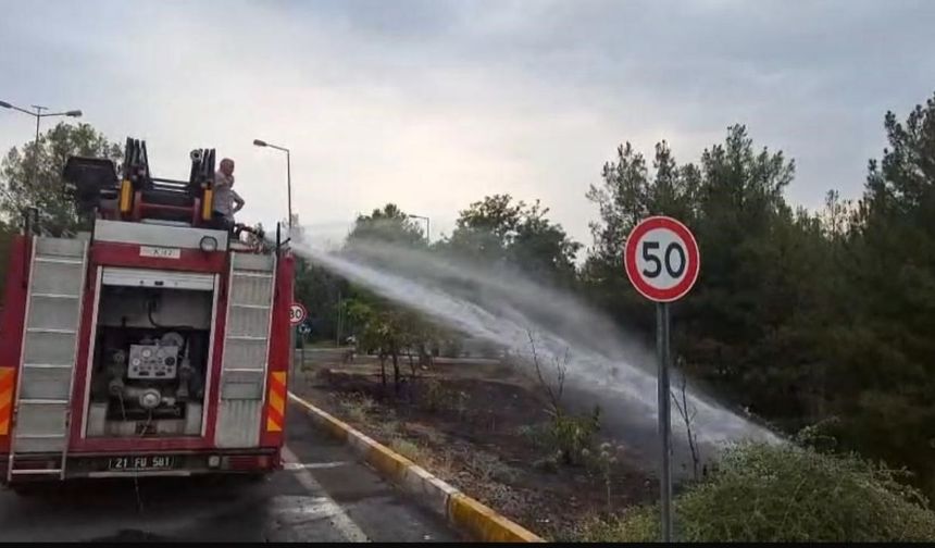 Diyarbakır Dicle Üniversitesi'nde örtü yangını