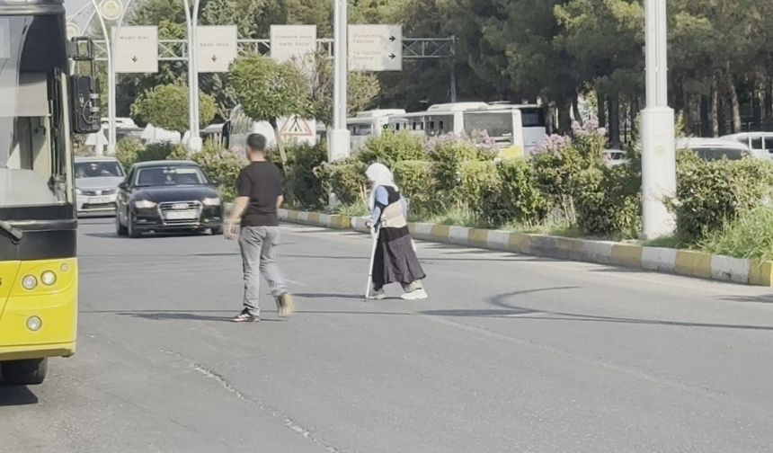 Diyarbakır Dicle Üniversitesi’nde büyük tehlike!