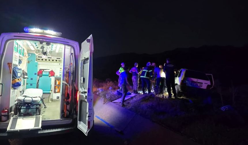 Bingöl'de akıl almaz kaza; otomobil ata çarptı: 2 yaralı