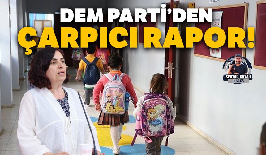 DEM Parti’den çarpıcı rapor!