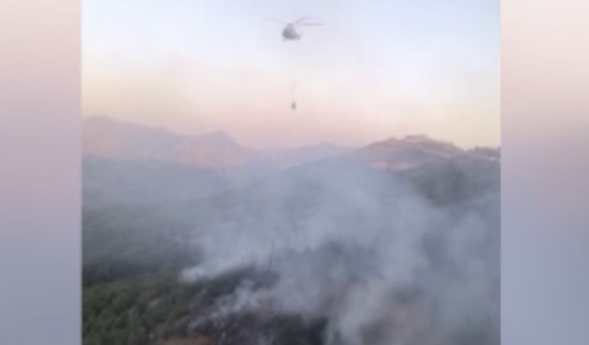 Diyarbakır Lice kırsalında çıkan yangın söndürüldü