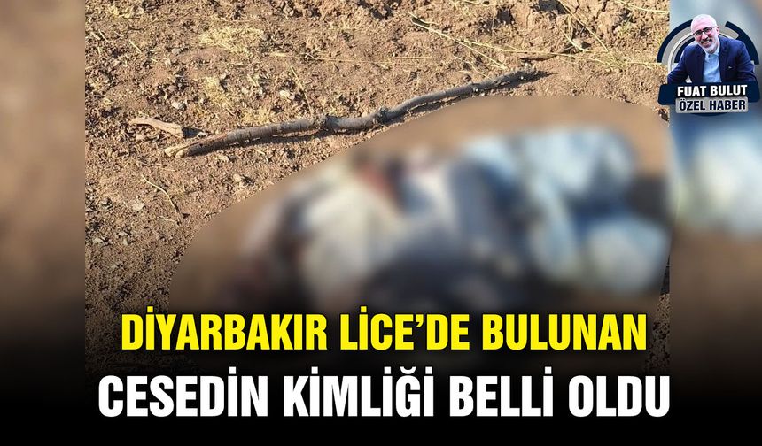 Diyarbakır Lice’de bulunan cesedin kimliği belli oldu