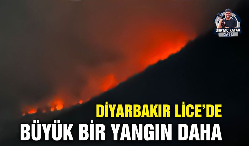 Diyarbakır Lice’de büyük bir yangın daha