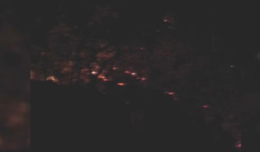 Diyarbakır Lice’de çıkan yangın söndürüldü