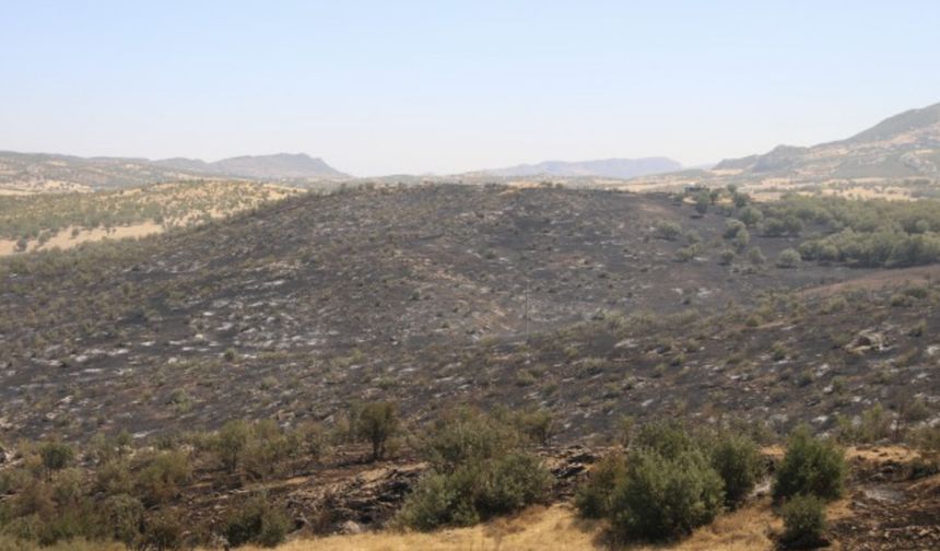 Diyarbakır Lice’de soğutma çalışmaları sürüyor