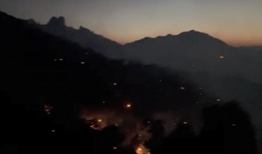 Diyarbakır Lice’de yangın nöbeti başladı