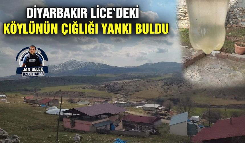 Diyarbakır Lice’deki köylünün çığlığı yankı buldu