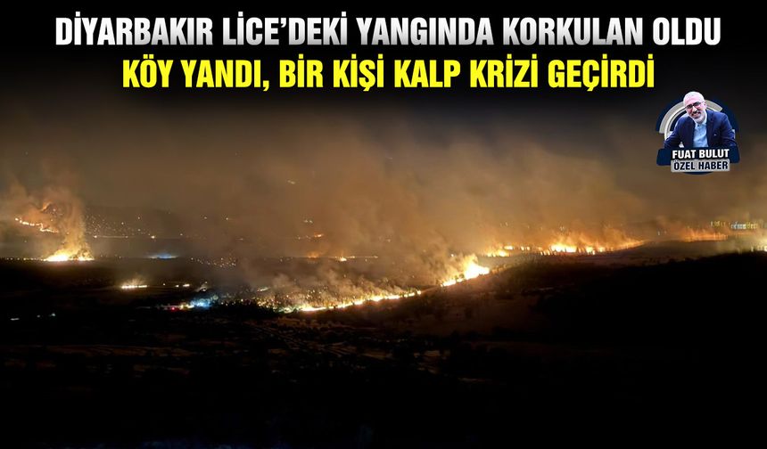 Diyarbakır Lice’deki yangında korkulan oldu: Köy yandı, bir kişi kalp krizi geçirdi
