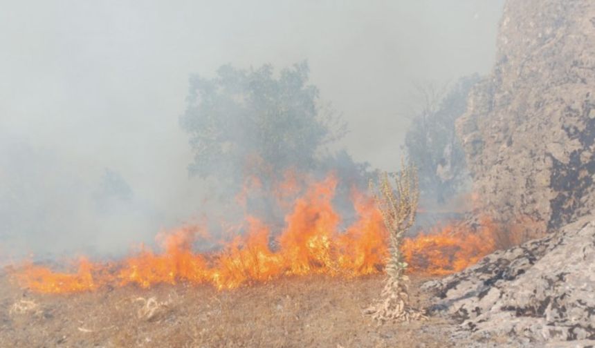 Diyarbakır’ın Lice kırsalında yangın
