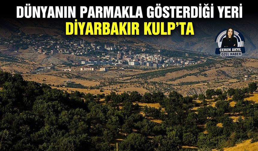 Dünyanın parmakla gösterdiği yeri Diyarbakır Kulp’ta